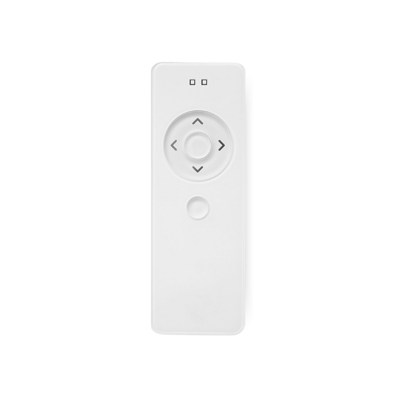 2 Channels Handheld Remote Control, White