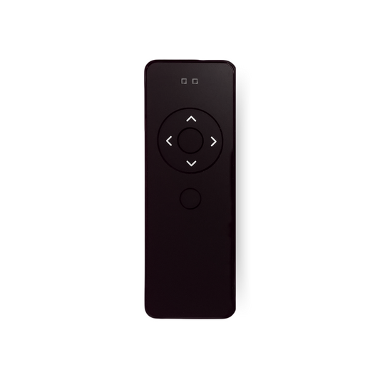 2 Channels Handheld Remote Control, Black