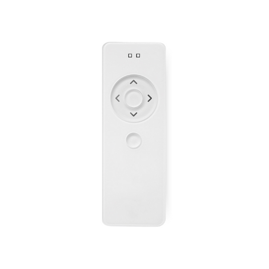 2 Channels Handheld Remote Control, White